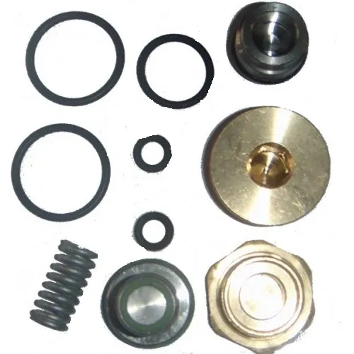 6005090 Remeza Ремкомплект всасывающего клапана RH30E