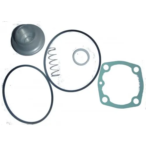 6000280 Remeza Ремкомплект всасывающего клапана RH25S
